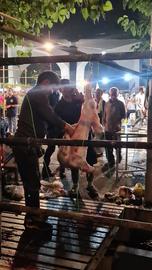 تصویر سلاخی گوسفند در مقابل درب دانشگاه تهران، شب مراسم حکومتی عیدغدیر